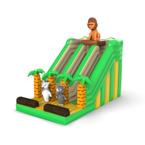 Toboggan gonflable double...