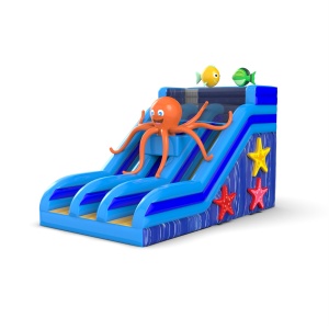 Toboggan gonflable avec une...