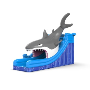 Toboggan gonflable avec un...
