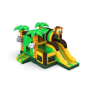 Gonflable avec toboggan -...
