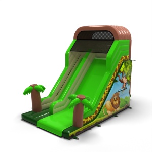 Toboggan gonflable avec...