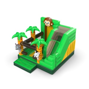 Gonflable avec toboggan -...