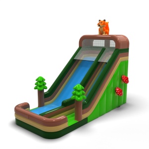 Toboggan gonflable agrandi...