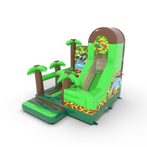 Gonflable avec toboggan...