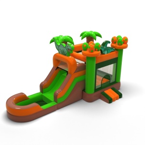 Toboggan aquatique avec...