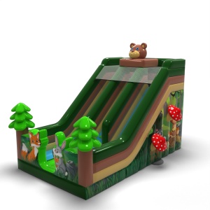 Toboggan gonflable double...