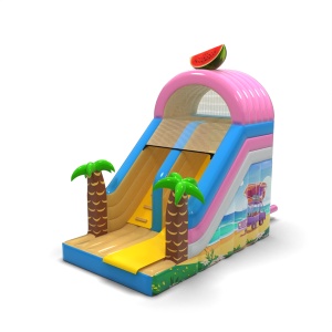Toboggan gonflable avec...