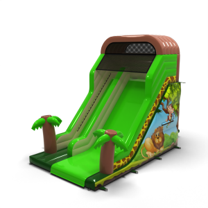 Toboggan gonflable avec...
