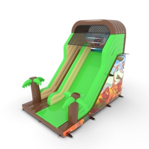 Toboggan gonflable avec...